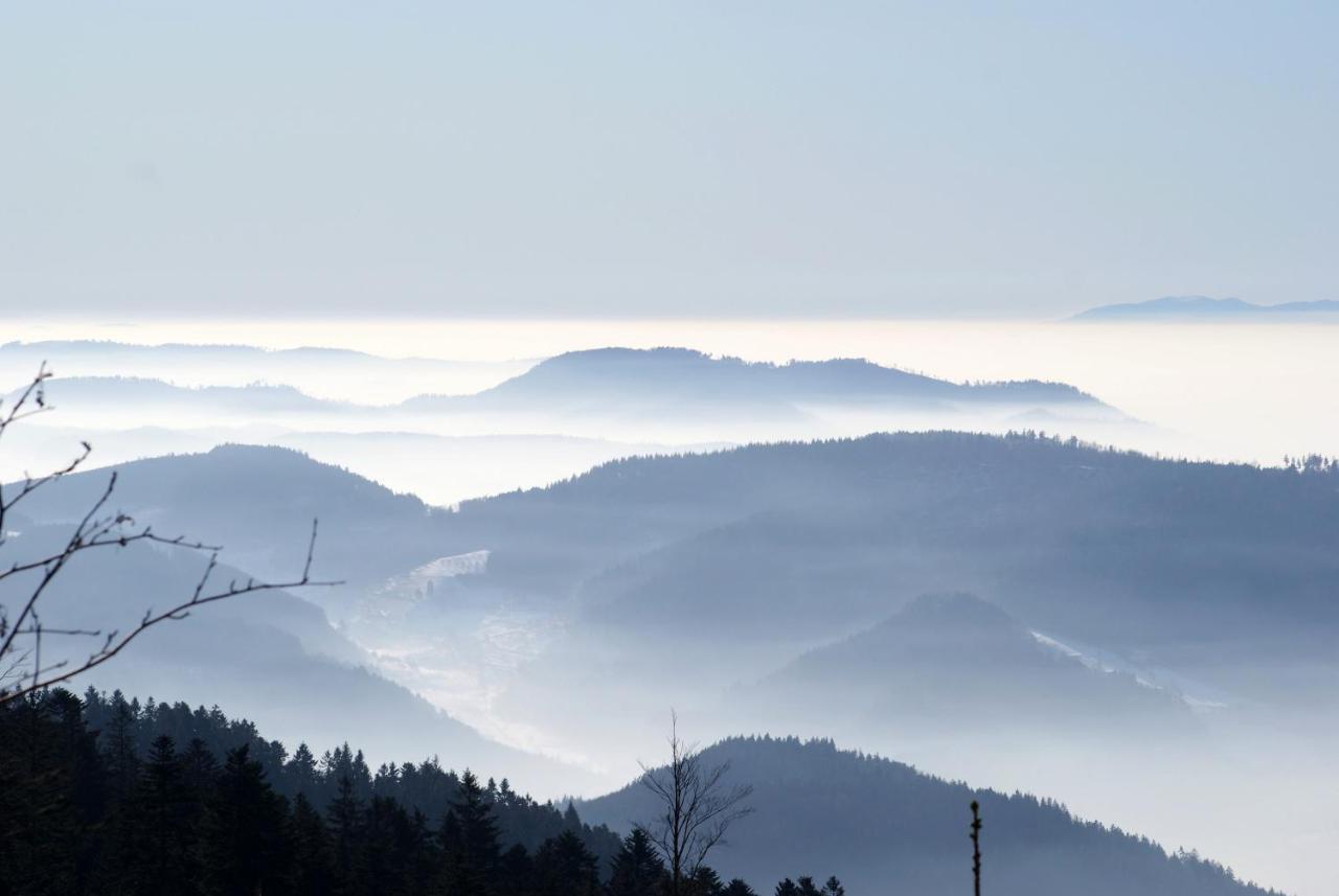 Schauenburgblick Daire Oberkirch  Dış mekan fotoğraf